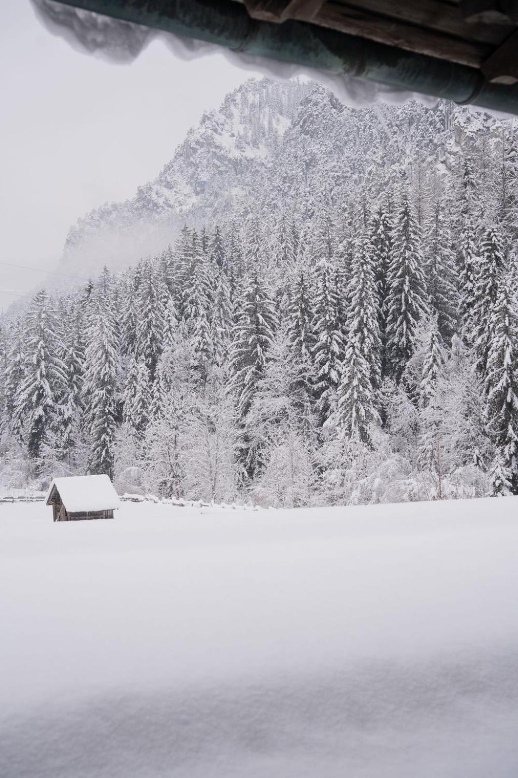 Fruehstueckspension Auer - Haus Kargl ชลัดมิง ภายนอก รูปภาพ
